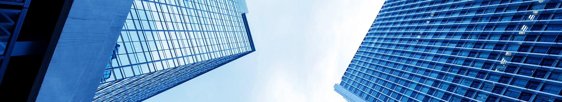 Бидний тухай